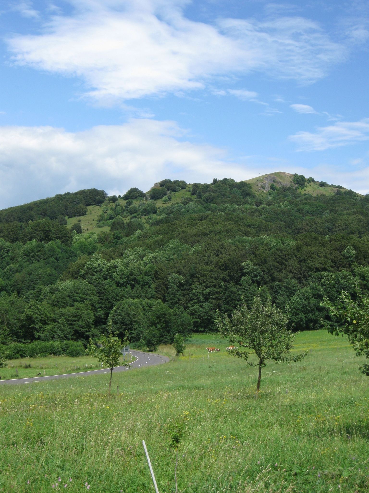 Rhöner mountains